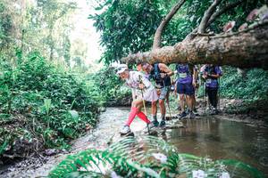 BIB: 
                            <button type="button" onclick="openModal(25460785)" class="btn btn-primary btn-sm float-right btn-popup" data-toggle="modal" data-target=".modal-high-quality">
                        <i class="fas fa-shopping-cart"></i> Add to Cart
                    </button>
                                            <button type="button" onclick="isThisMe(25460785, true)" class="btn btn-success btn-sm float-right btn-popup btn-isme hidden" data-toggle="tooltip" data-placement="bottom" title="นี่คือรูปของคุณใช่ไหม คลิกที่นี่เพื่อเอาเข้าอัลบั้ม">
                        <i class="fas fa-plus"></i> Add to album
                    </button>
                    <button type="button" onclick="isThisMe(25460785, false)" class="btn btn-warning btn-sm float-right btn-popup btn-isnotme hidden">
                        <i class="fas fa-ban"></i> Remove from album
                    </button>